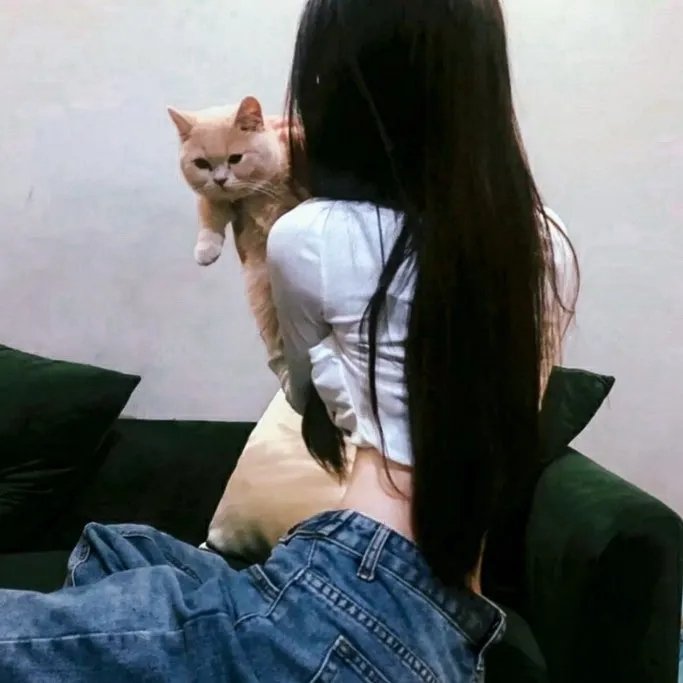 赛车狂人2
